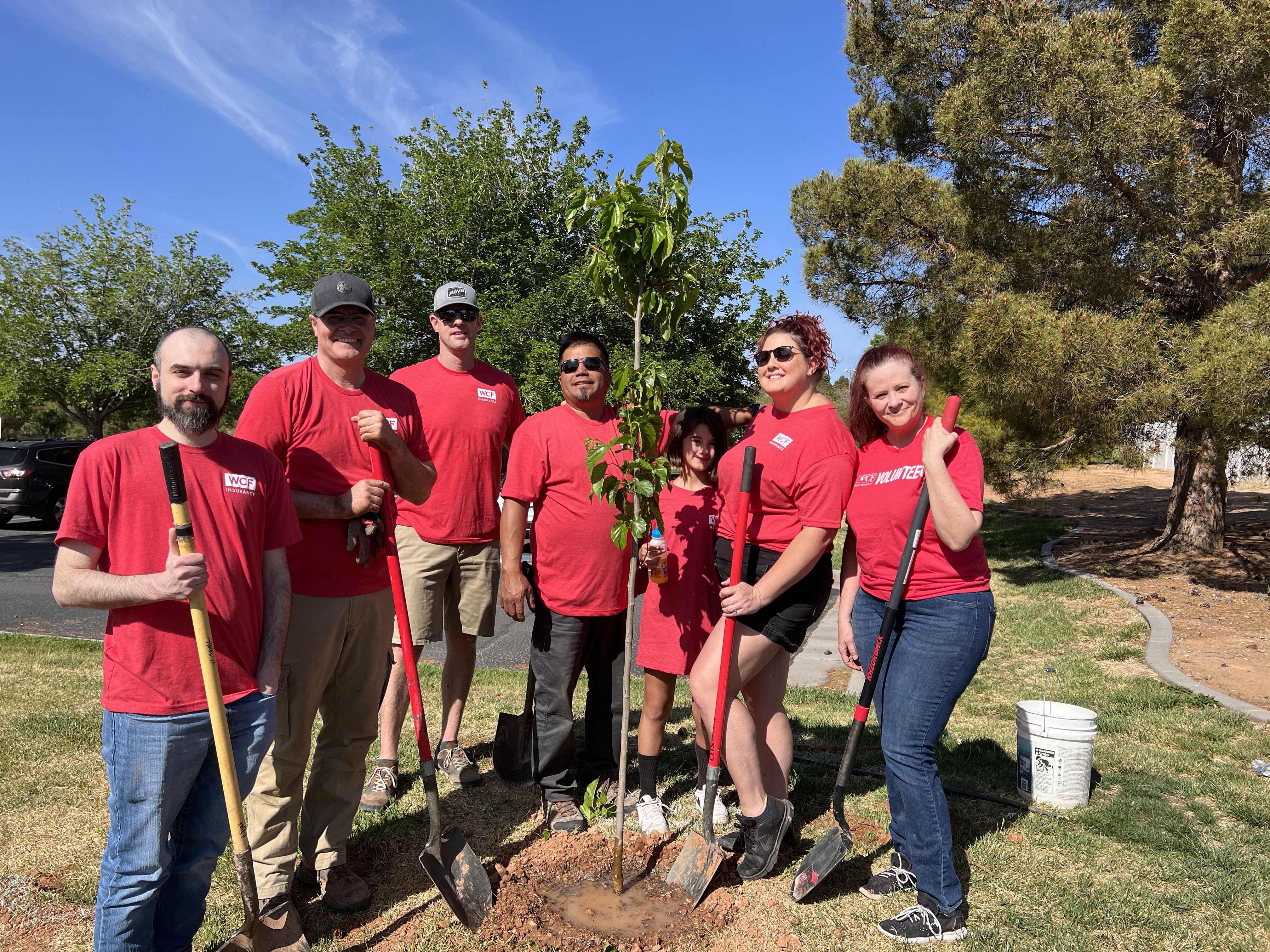 WCF employees planting trees for Arbor Day.